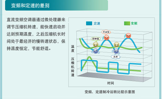 大菠萝视频在线观看特性