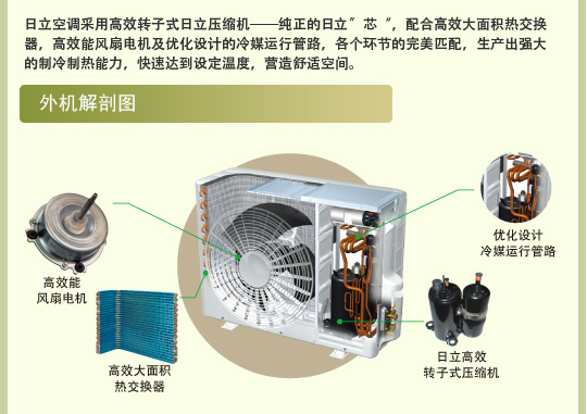 大菠萝视频在线观看特性